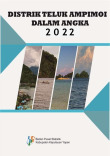 Kecamatan Teluk Ampimoi Dalam Angka 2022